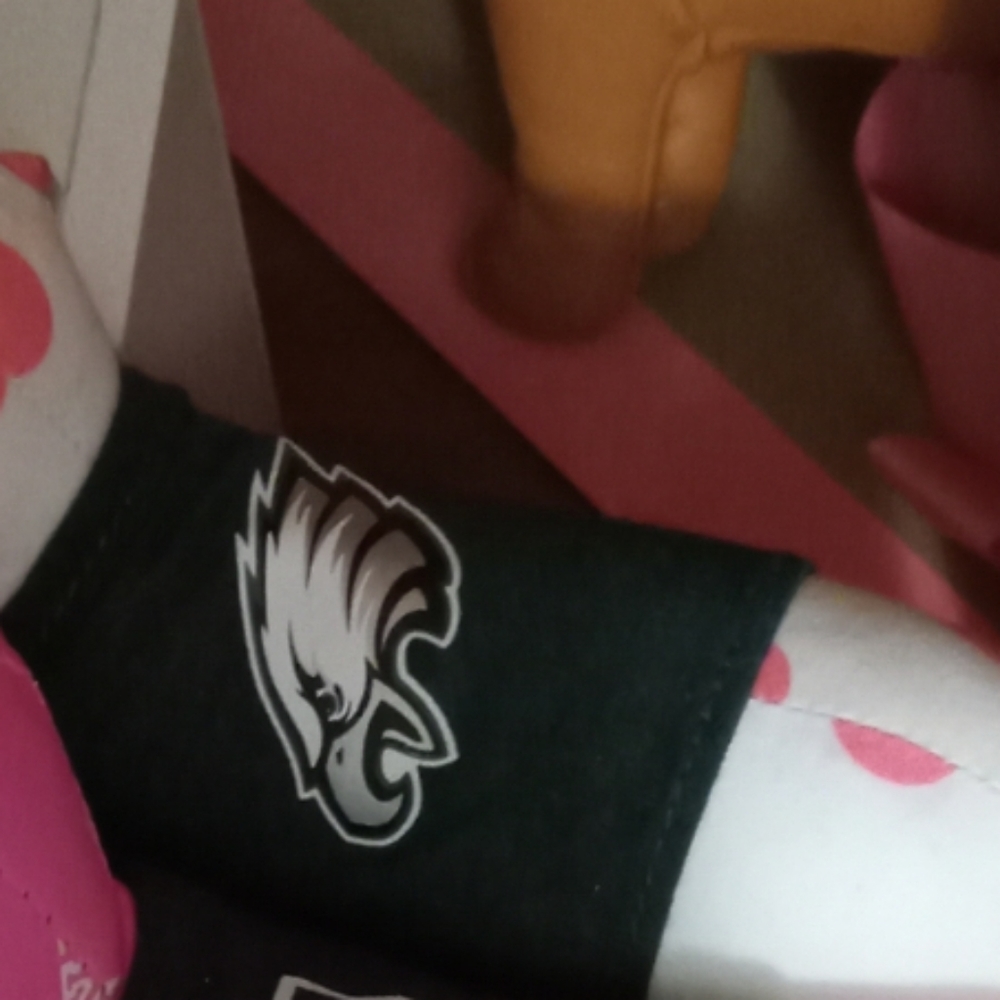 Eagles NFL dog ON HOLD!!!